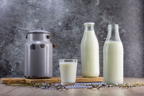 Menyingkap Perbedaan Fresh Milk Pasteurisasi dan Plant-Based Milk: Pilih dengan Bijak untuk Kesehatan Anda!
